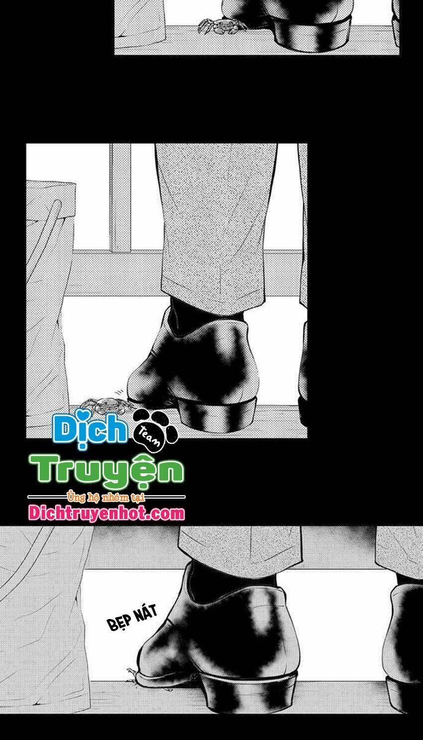 Trêu Ghẹo "Gấu" Nhà Tôi! Chương 51 Ảnh 13