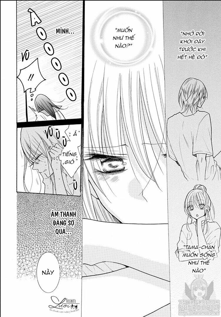Noraneko To Ookami Chương 2 Ảnh 33
