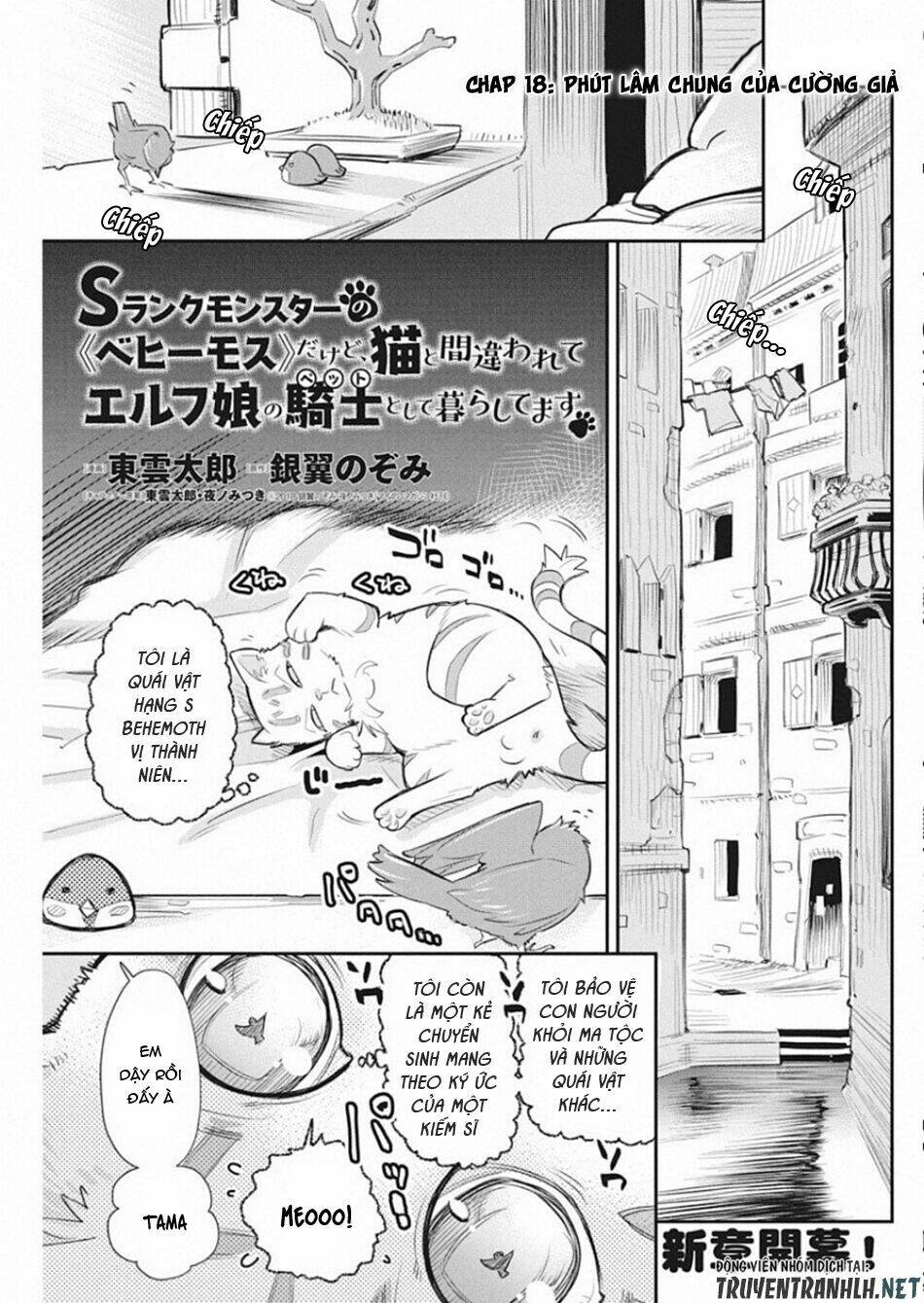 I Am Behemoth Of The S Rank Monster But I Am Mistaken As A Cat And I Live As A Pet Of Elf Girl Chương 18 Ảnh 4