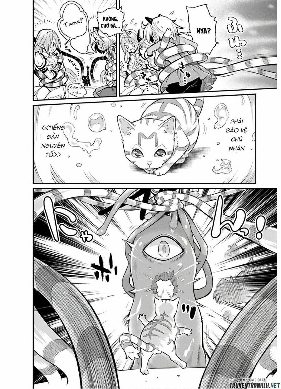 I Am Behemoth Of The S Rank Monster But I Am Mistaken As A Cat And I Live As A Pet Of Elf Girl Chương 24 Ảnh 19