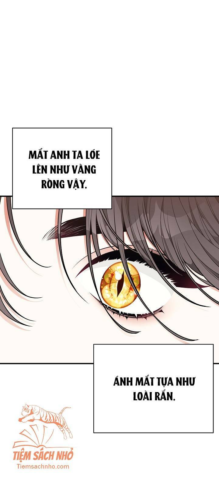 Tôi Chỉ Đi Tìm Cha Thôi Chương 36 Ảnh 27