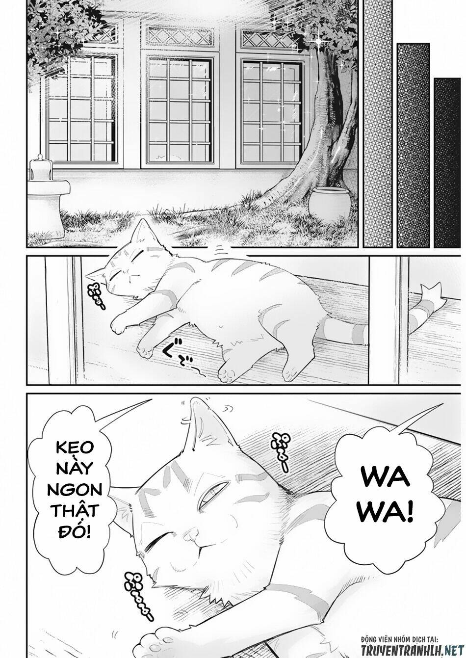 I Am Behemoth Of The S Rank Monster But I Am Mistaken As A Cat And I Live As A Pet Of Elf Girl Chương 36 Ảnh 19