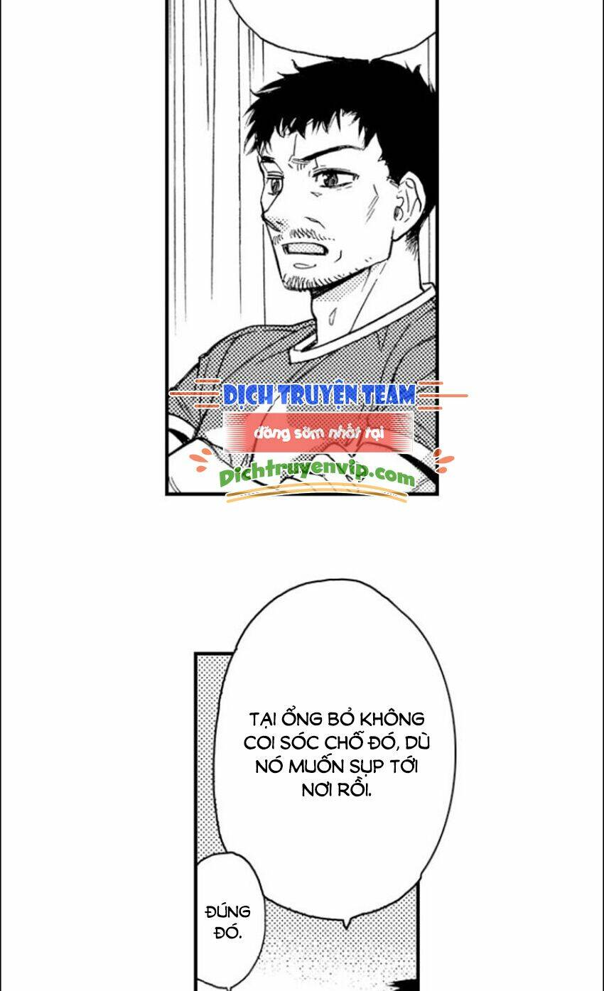 Nụ Hôn Cháy Bỏng Chương 83 Ảnh 39