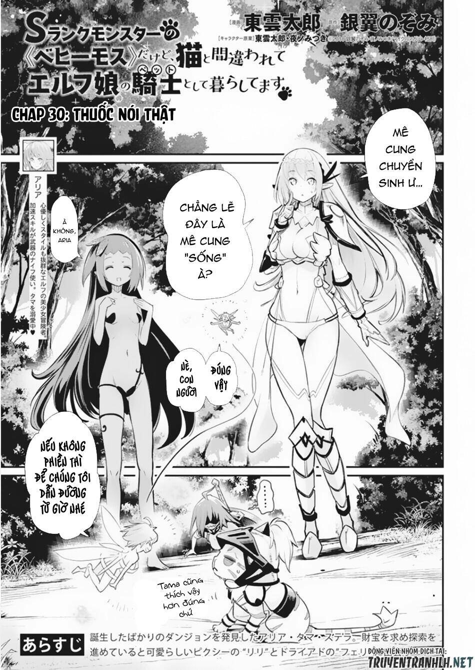 I Am Behemoth Of The S Rank Monster But I Am Mistaken As A Cat And I Live As A Pet Of Elf Girl Chương 30 Ảnh 4