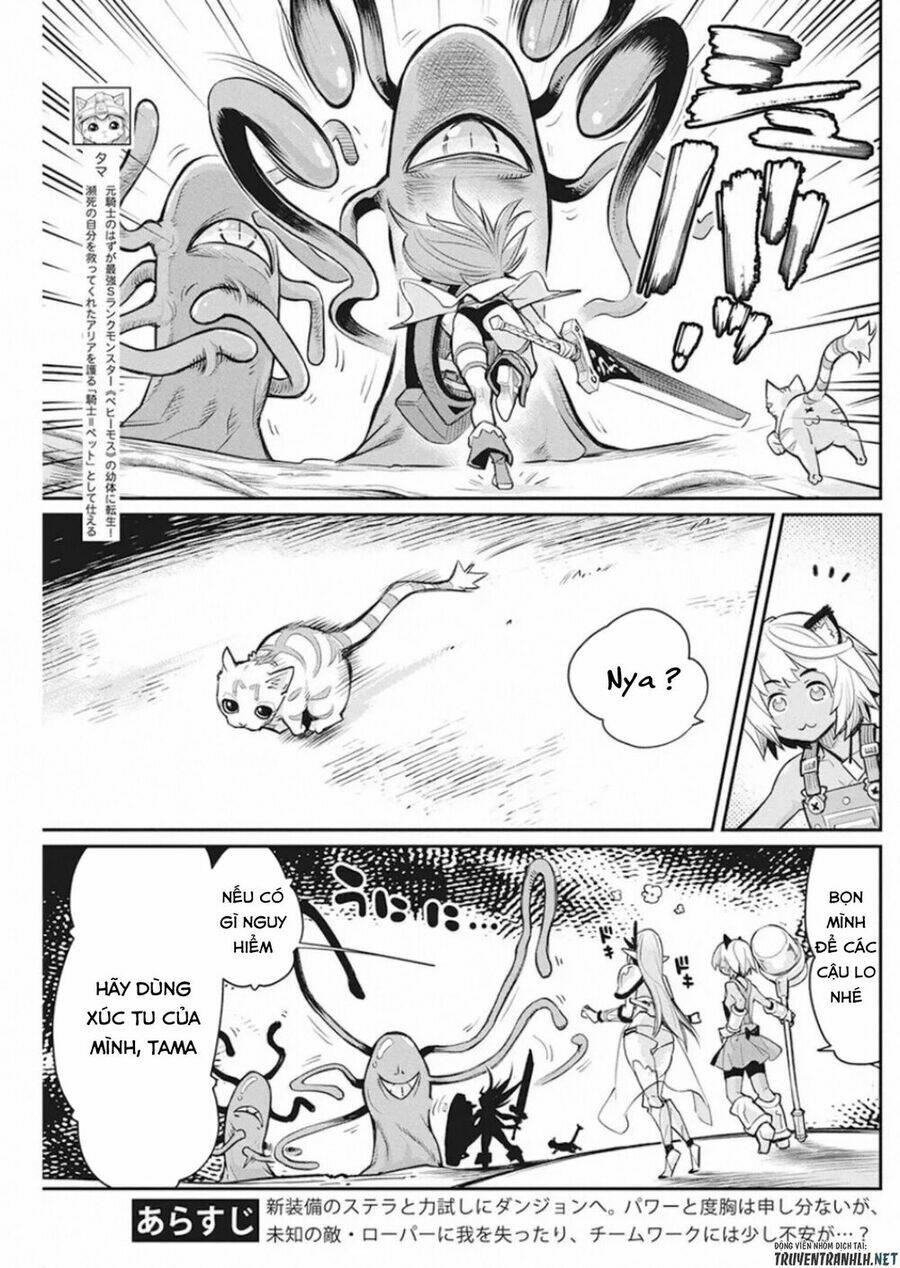 I Am Behemoth Of The S Rank Monster But I Am Mistaken As A Cat And I Live As A Pet Of Elf Girl Chương 25 Ảnh 6