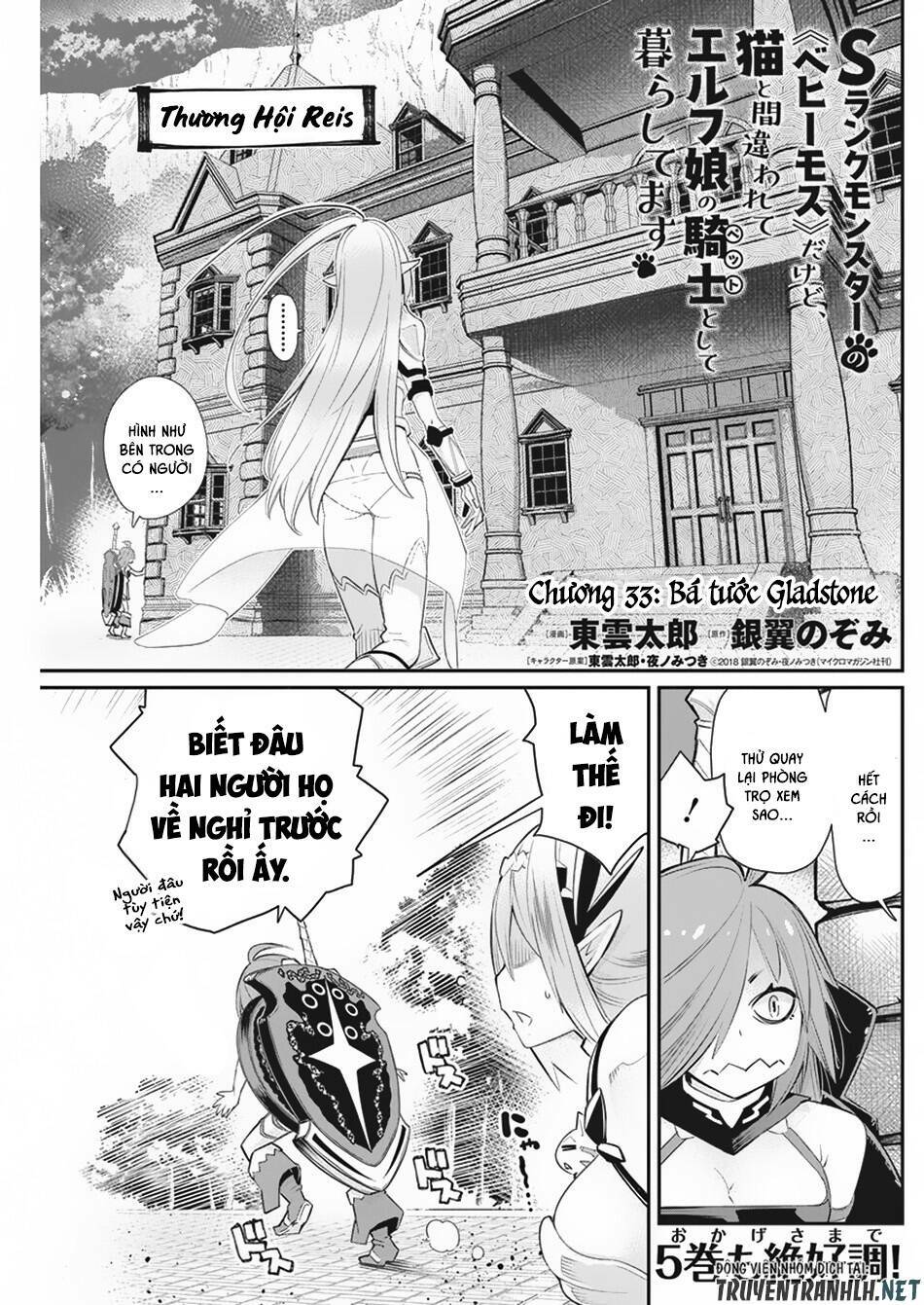 I Am Behemoth Of The S Rank Monster But I Am Mistaken As A Cat And I Live As A Pet Of Elf Girl Chương 33 Ảnh 5