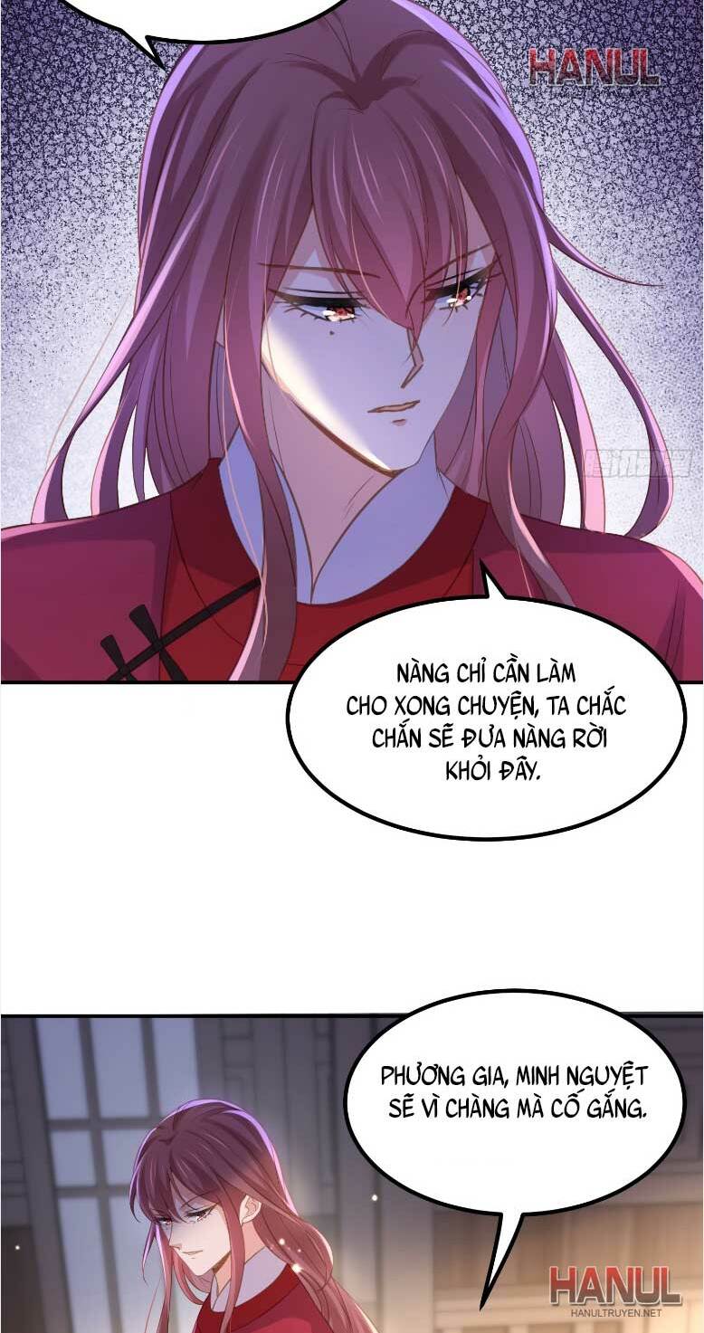 Hoạn Phi Thiên Hạ Chương 354 Ảnh 5