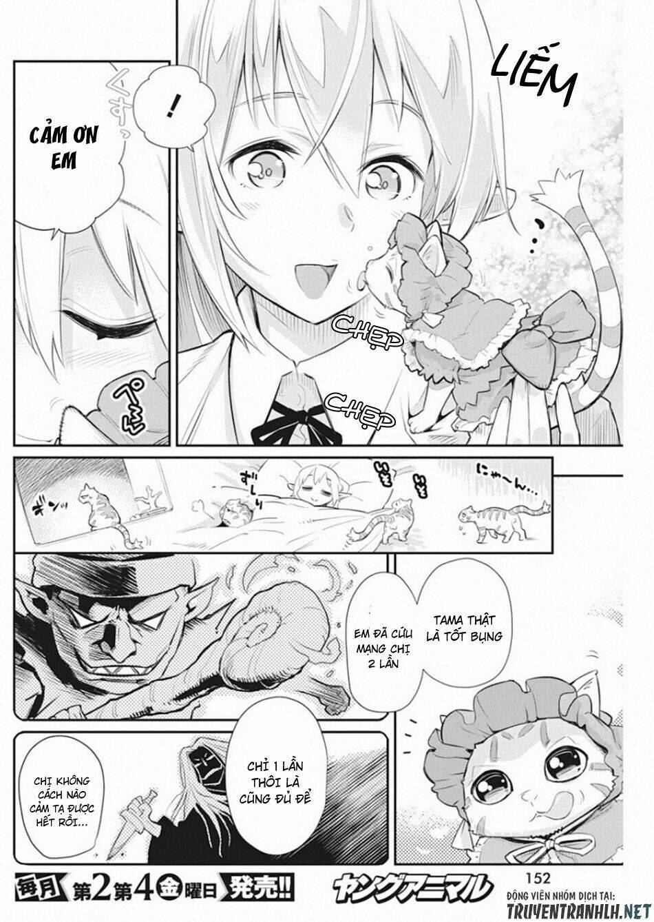I Am Behemoth Of The S Rank Monster But I Am Mistaken As A Cat And I Live As A Pet Of Elf Girl Chương 19 Ảnh 7
