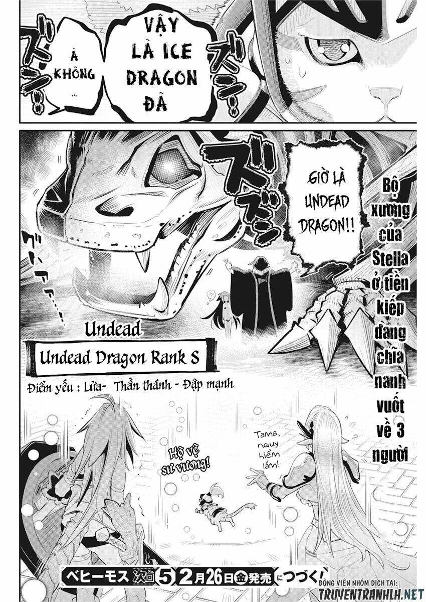 I Am Behemoth Of The S Rank Monster But I Am Mistaken As A Cat And I Live As A Pet Of Elf Girl Chương 34 Ảnh 24