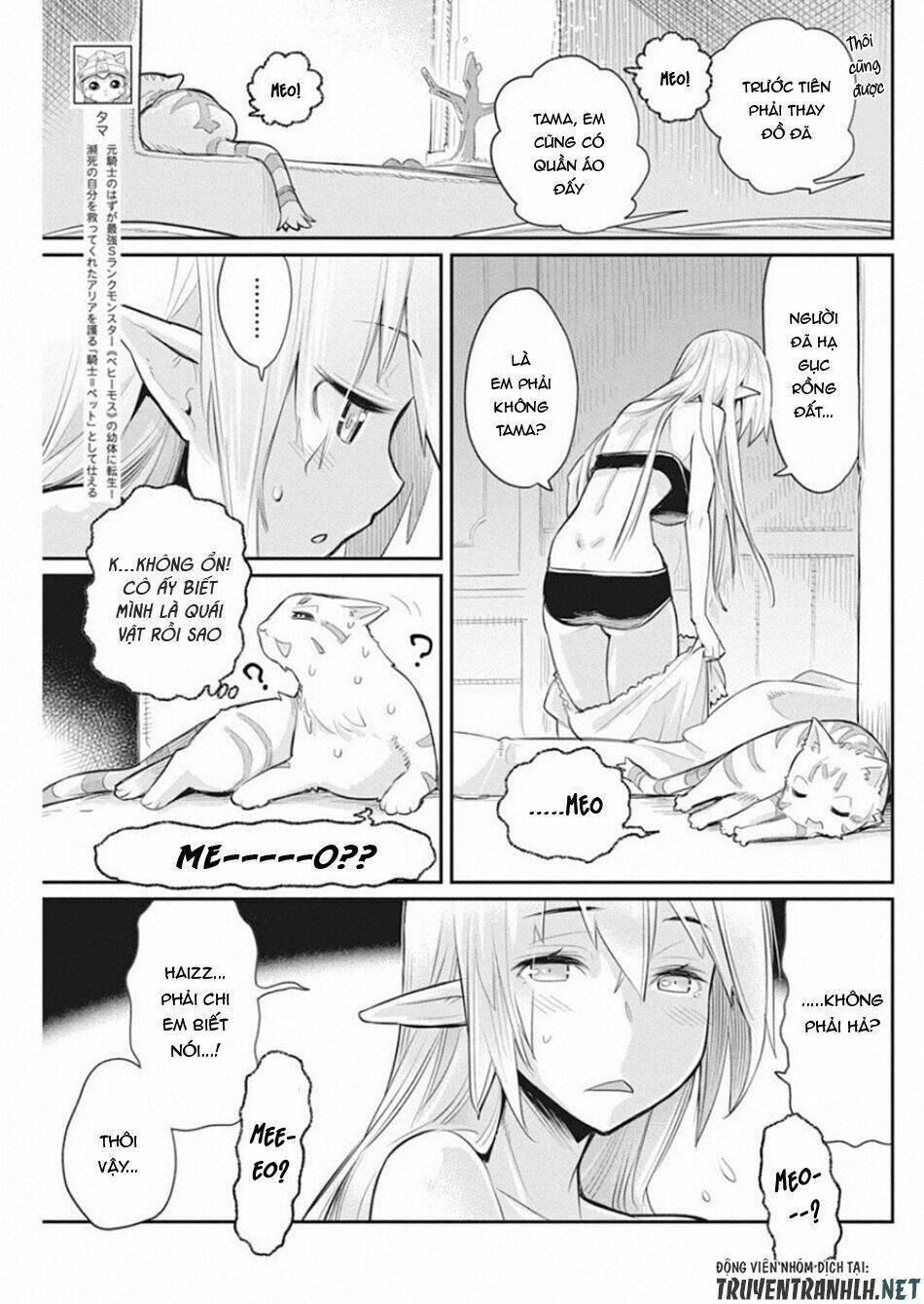 I Am Behemoth Of The S Rank Monster But I Am Mistaken As A Cat And I Live As A Pet Of Elf Girl Chương 18 Ảnh 6