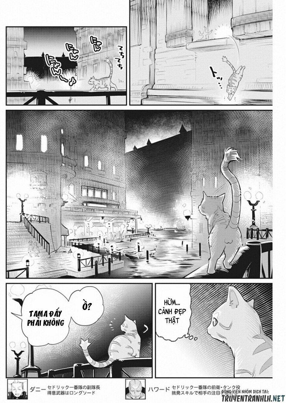 I Am Behemoth Of The S Rank Monster But I Am Mistaken As A Cat And I Live As A Pet Of Elf Girl Chương 19 Ảnh 9