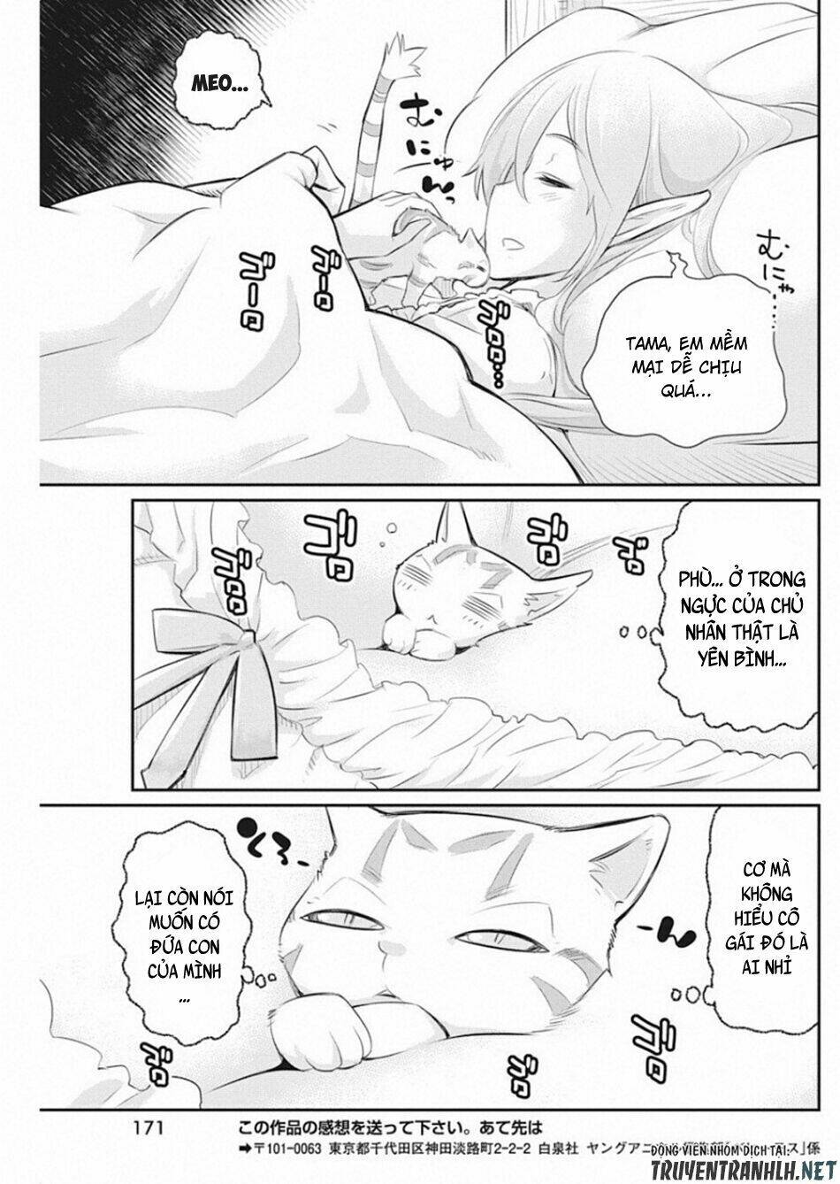 I Am Behemoth Of The S Rank Monster But I Am Mistaken As A Cat And I Live As A Pet Of Elf Girl Chương 19 Ảnh 26