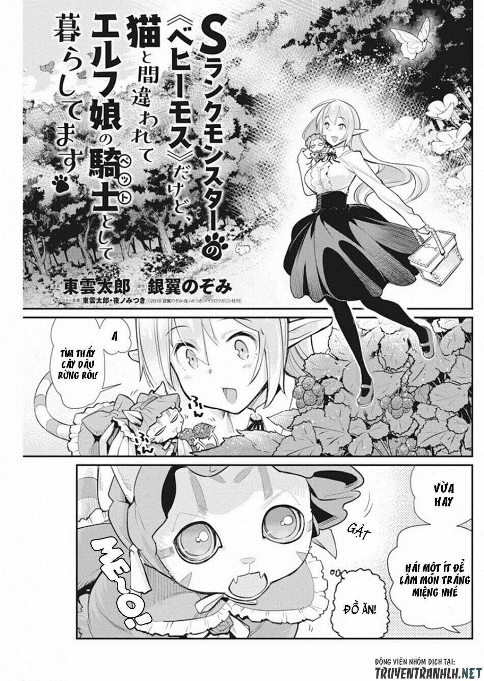 I Am Behemoth Of The S Rank Monster But I Am Mistaken As A Cat And I Live As A Pet Of Elf Girl Chương 19 Ảnh 4
