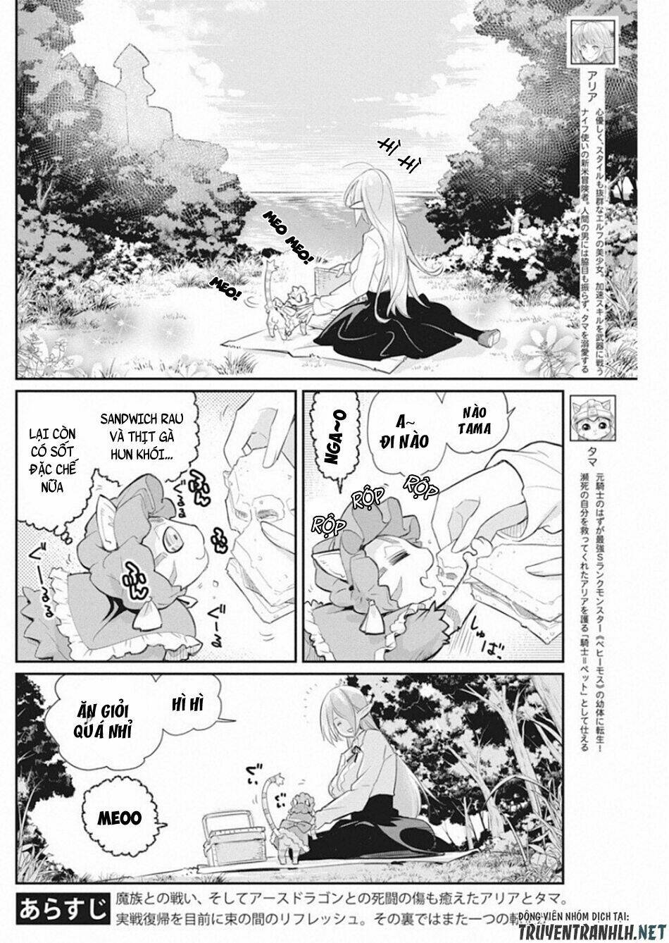 I Am Behemoth Of The S Rank Monster But I Am Mistaken As A Cat And I Live As A Pet Of Elf Girl Chương 19 Ảnh 5