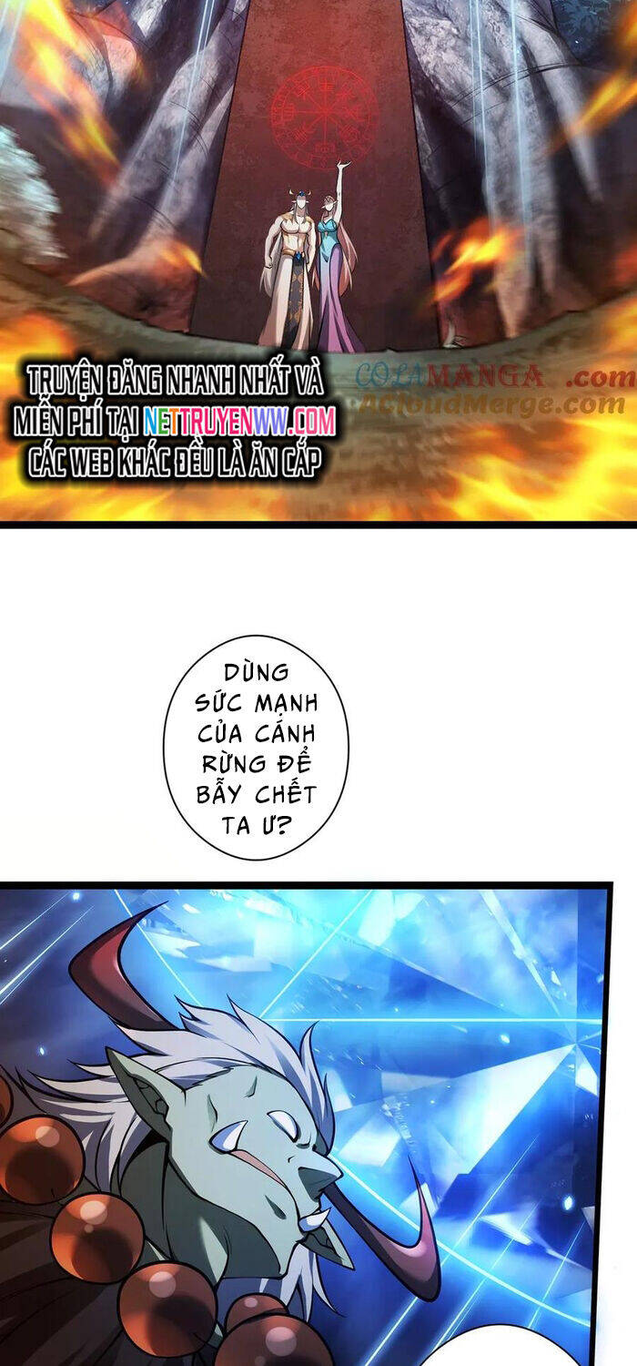 Ta Là Chúa Tể Tùng Lâm Chương 28 Ảnh 18