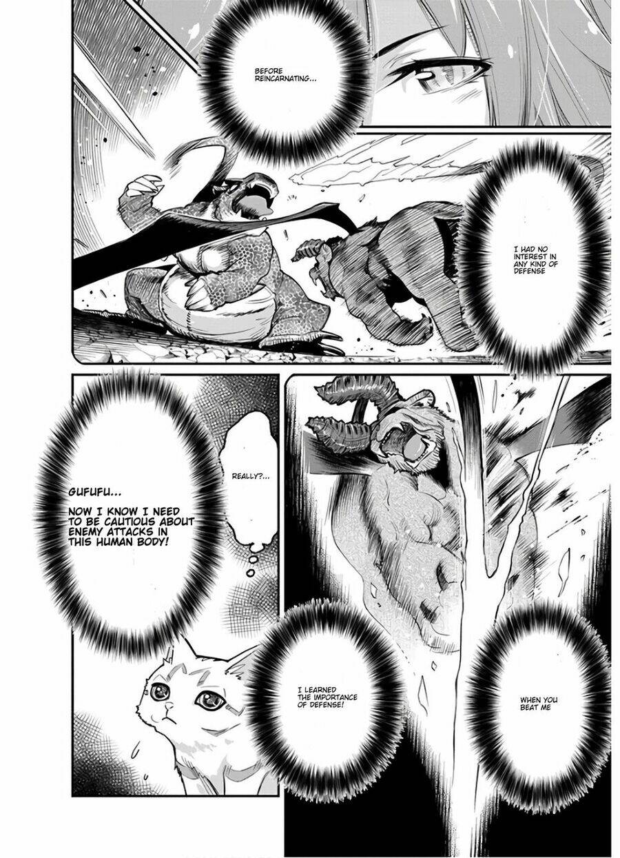 I Am Behemoth Of The S Rank Monster But I Am Mistaken As A Cat And I Live As A Pet Of Elf Girl Chương 23 Ảnh 13