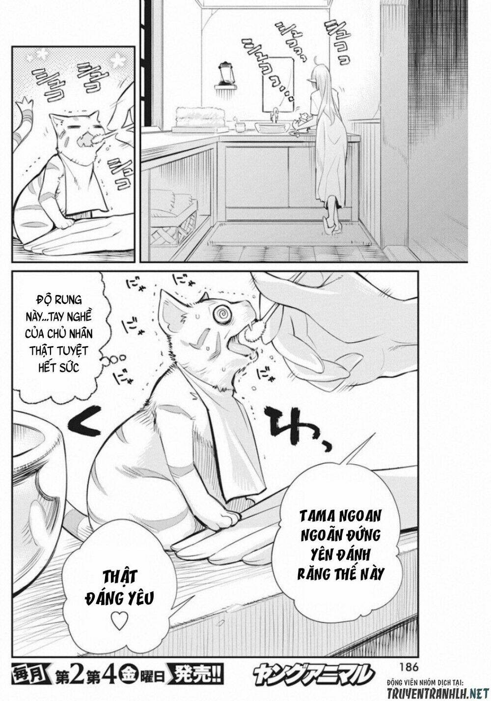I Am Behemoth Of The S Rank Monster But I Am Mistaken As A Cat And I Live As A Pet Of Elf Girl Chương 21 Ảnh 24