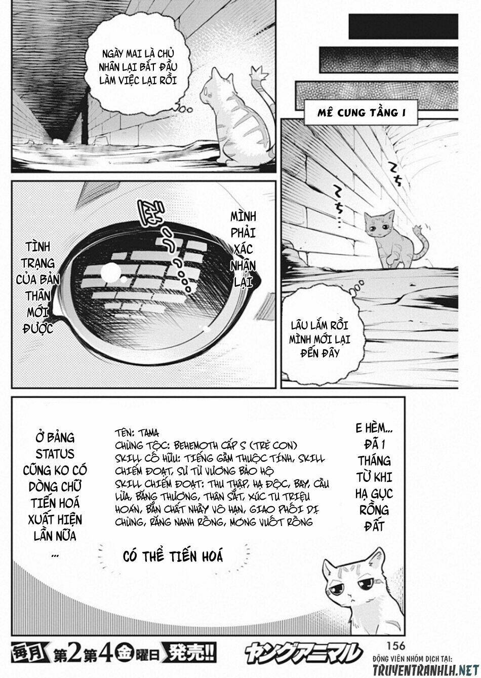 I Am Behemoth Of The S Rank Monster But I Am Mistaken As A Cat And I Live As A Pet Of Elf Girl Chương 19 Ảnh 11