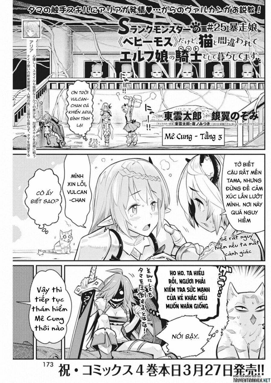 I Am Behemoth Of The S Rank Monster But I Am Mistaken As A Cat And I Live As A Pet Of Elf Girl Chương 25 Ảnh 4