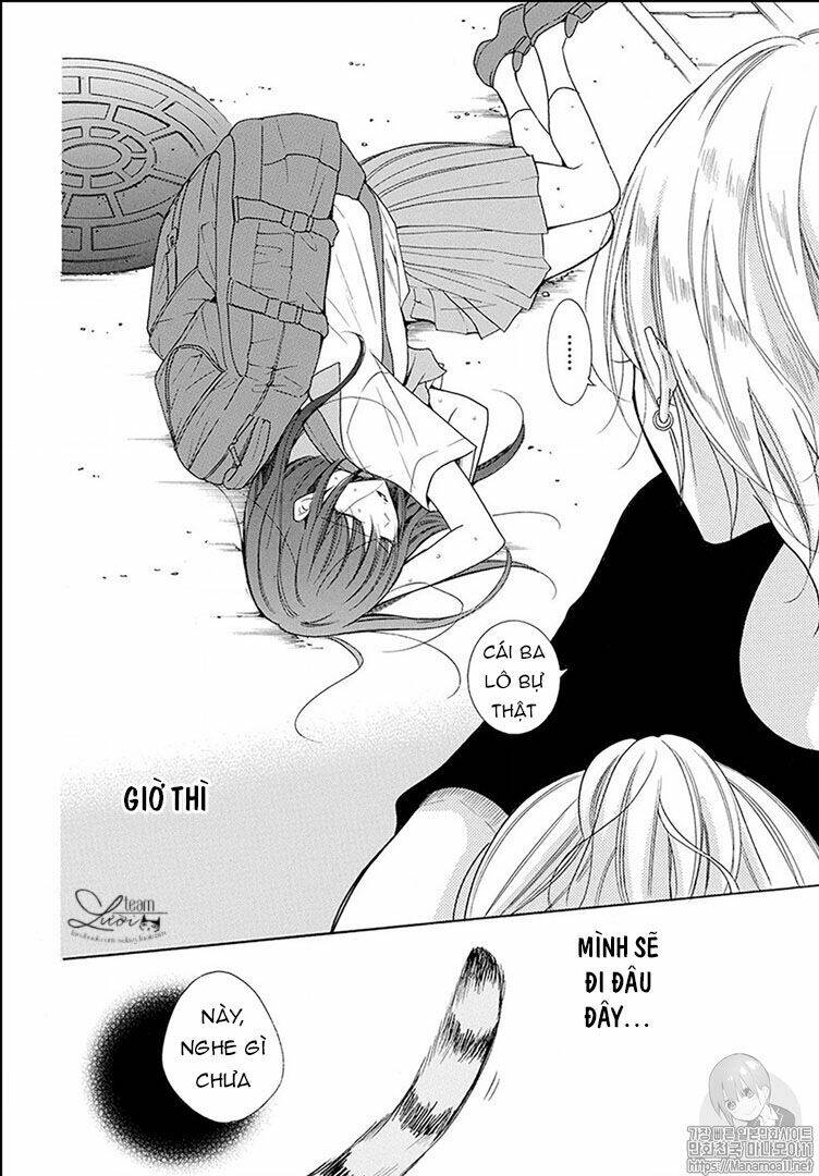 Noraneko To Ookami Chương 1.1 Ảnh 6