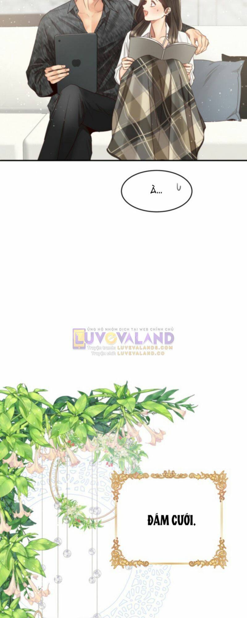 Ánh Sao Ban Mai Chương 74 Ảnh 4