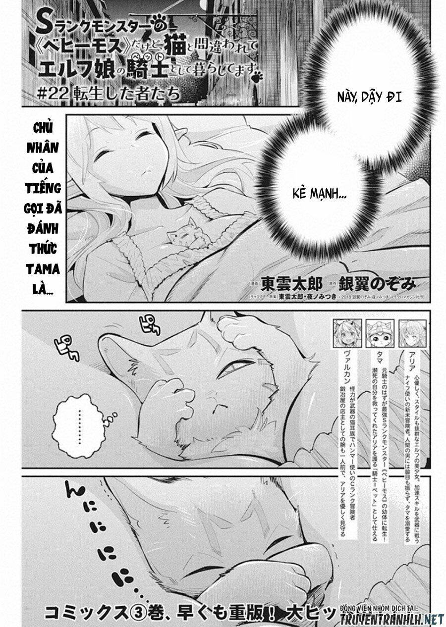 I Am Behemoth Of The S Rank Monster But I Am Mistaken As A Cat And I Live As A Pet Of Elf Girl Chương 22 Ảnh 4