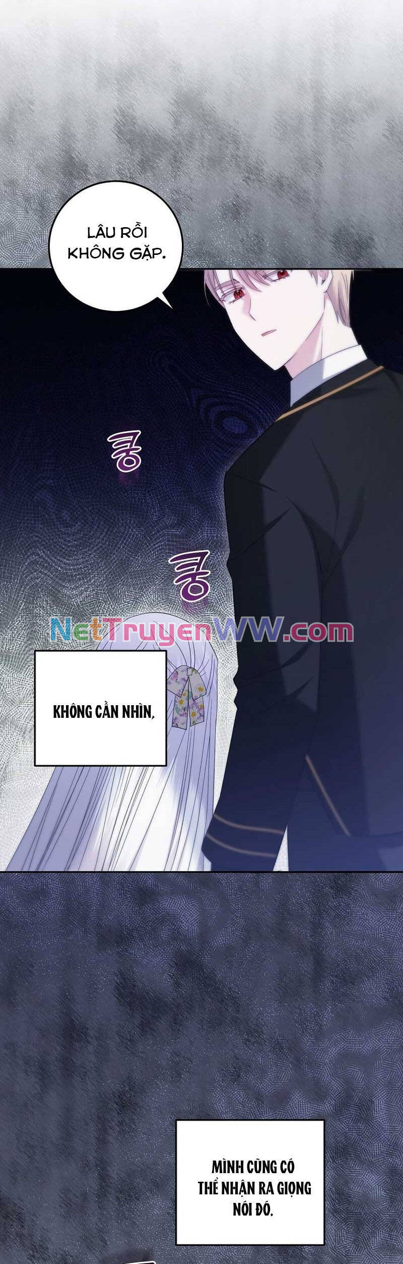 Kiếp Này Ta Sẽ Không Sống Như Một Anh Hùng Nữa Đâu! Có Lẽ Ta Sẽ Nghỉ Hưu! Chương 18 Ảnh 48