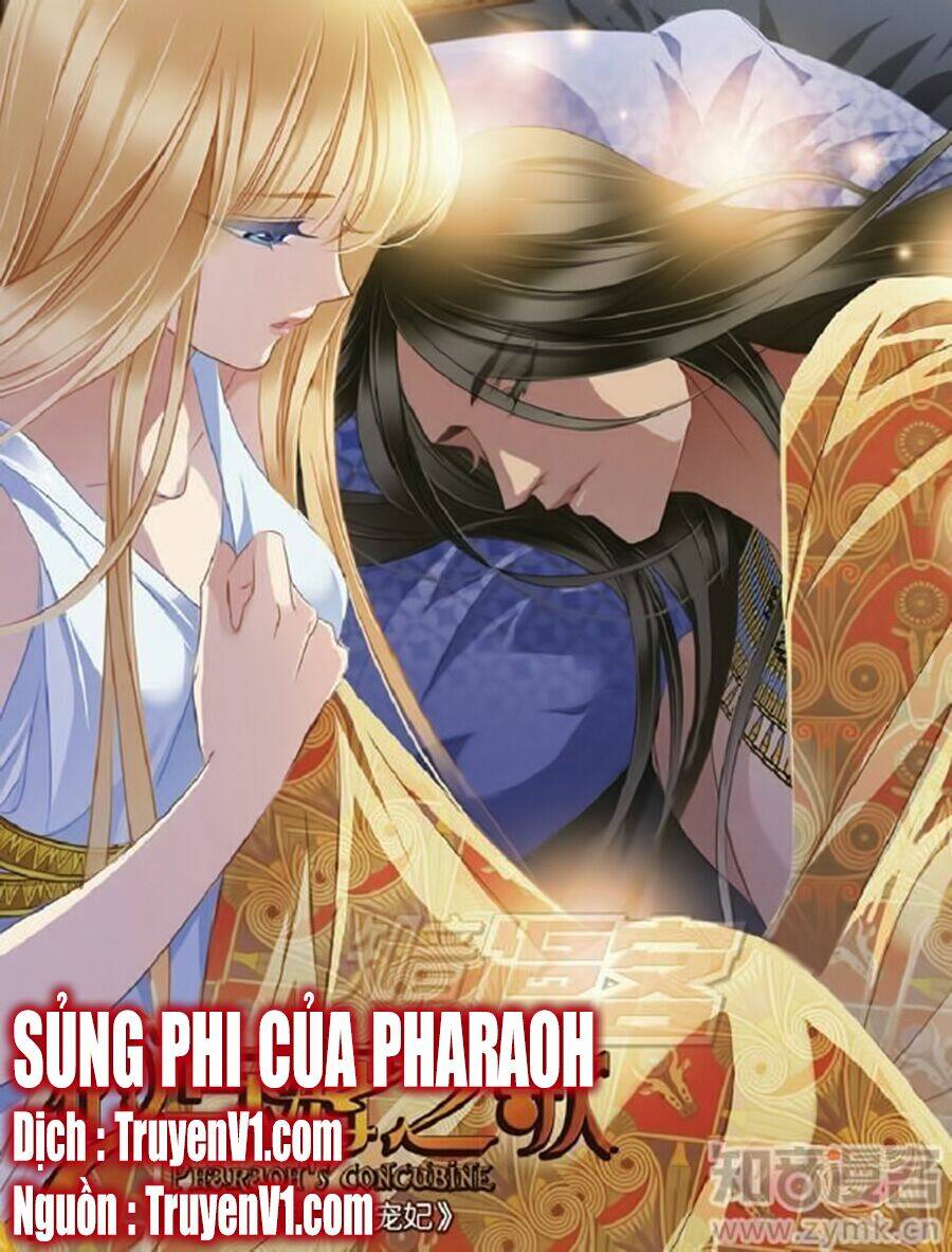 Sủng Phi Của Pharaoh Chương 54 Ảnh 2