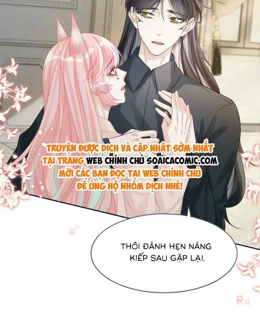 Xuyên Nhanh Nữ Phụ Bình Tĩnh Chút Chương 177 Ảnh 31
