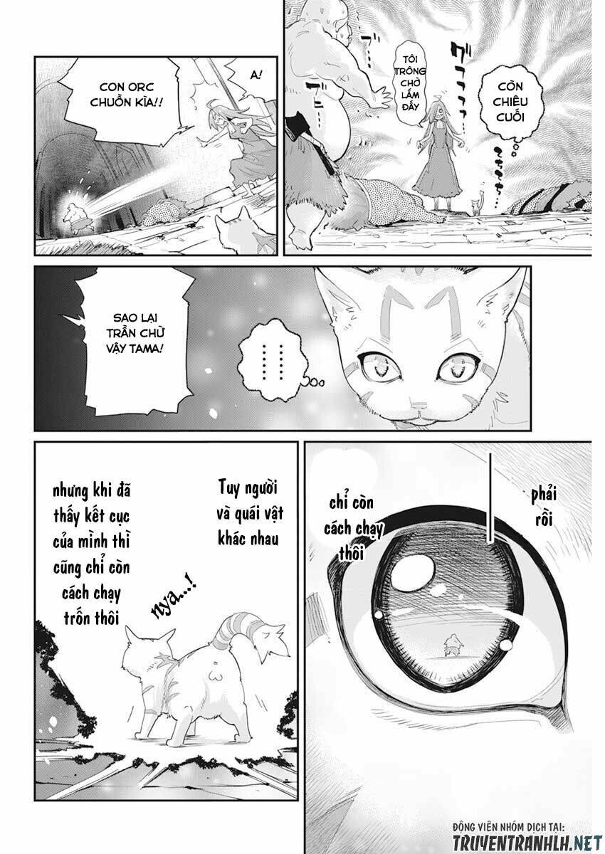 I Am Behemoth Of The S Rank Monster But I Am Mistaken As A Cat And I Live As A Pet Of Elf Girl Chương 39 Ảnh 19