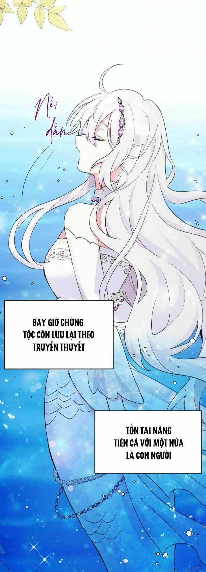 Nàng Công Chúa Tiên Cá Chương 1 Ảnh 20