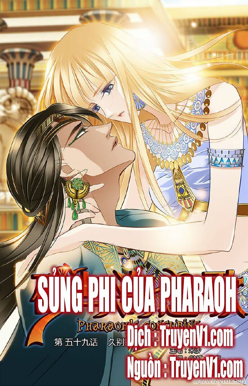 Sủng Phi Của Pharaoh Chương 60 Ảnh 2