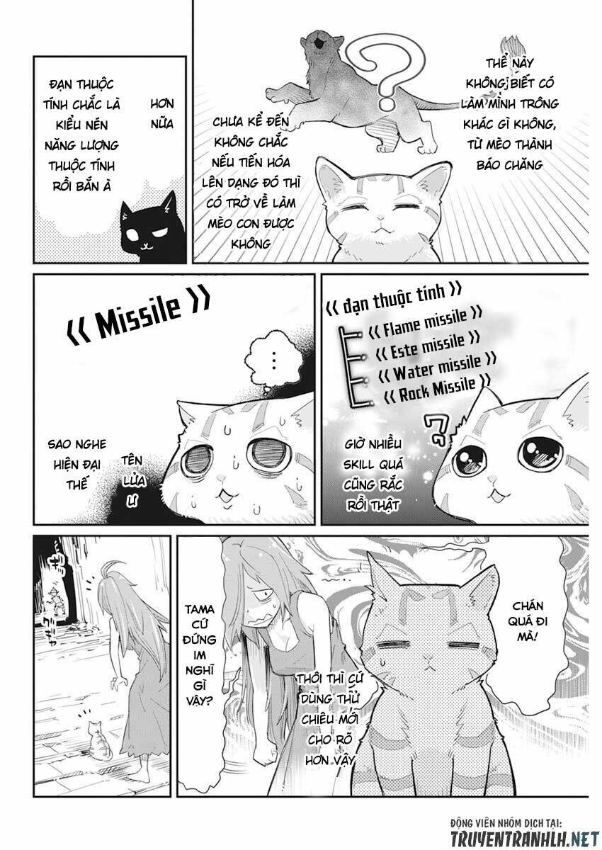 I Am Behemoth Of The S Rank Monster But I Am Mistaken As A Cat And I Live As A Pet Of Elf Girl Chương 39 Ảnh 11