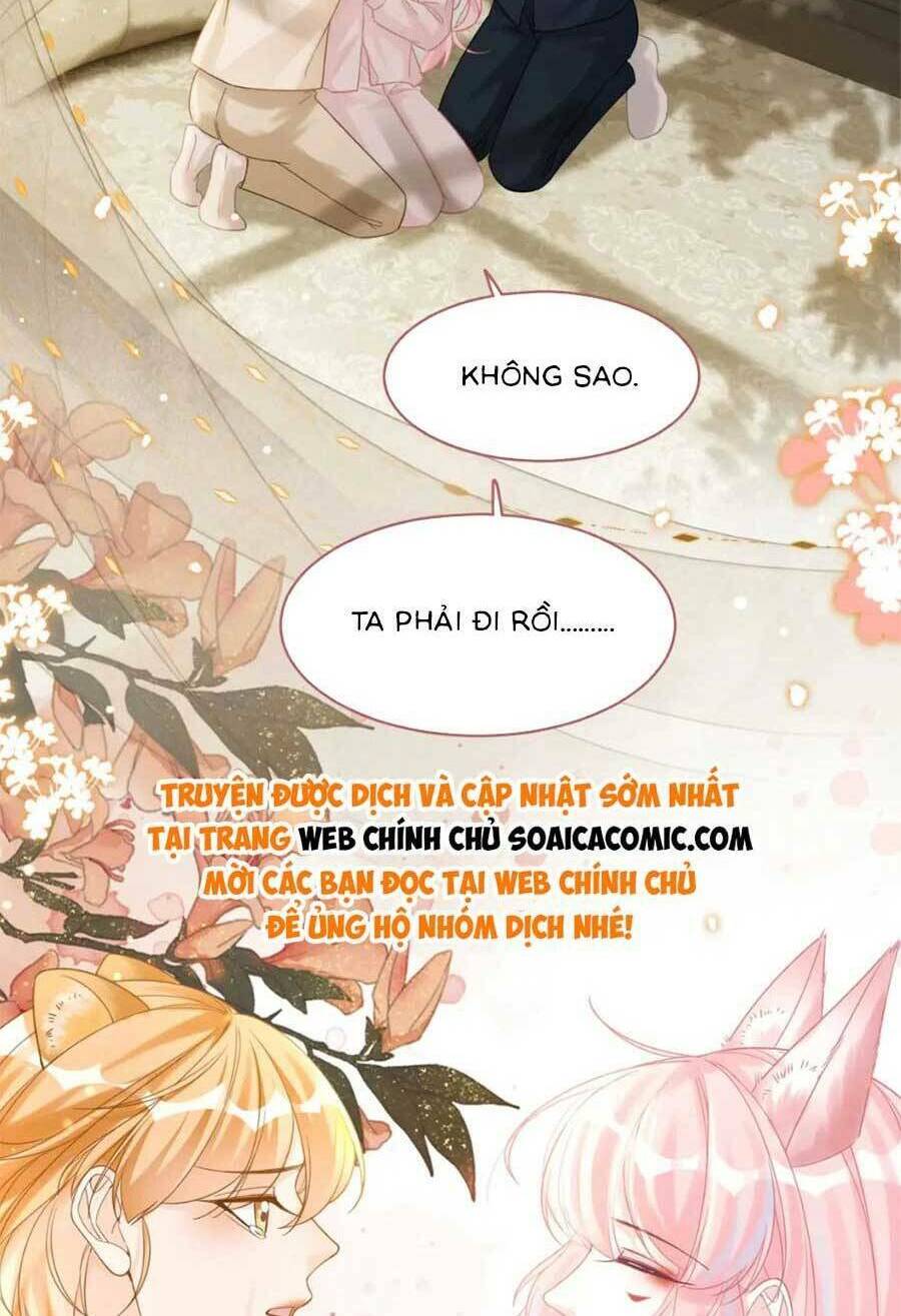 Xuyên Nhanh Nữ Phụ Bình Tĩnh Chút Chương 177 Ảnh 35