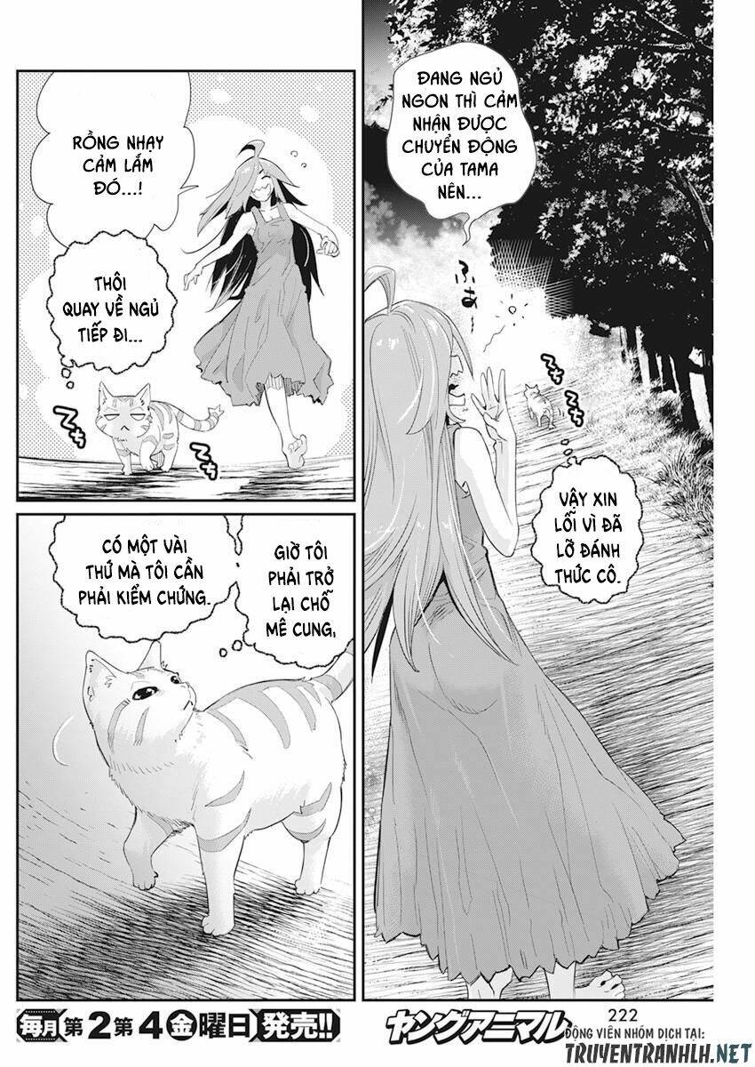 I Am Behemoth Of The S Rank Monster But I Am Mistaken As A Cat And I Live As A Pet Of Elf Girl Chương 38 Ảnh 27