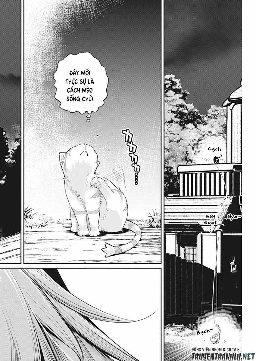 I Am Behemoth Of The S Rank Monster But I Am Mistaken As A Cat And I Live As A Pet Of Elf Girl Chương 38 Ảnh 24