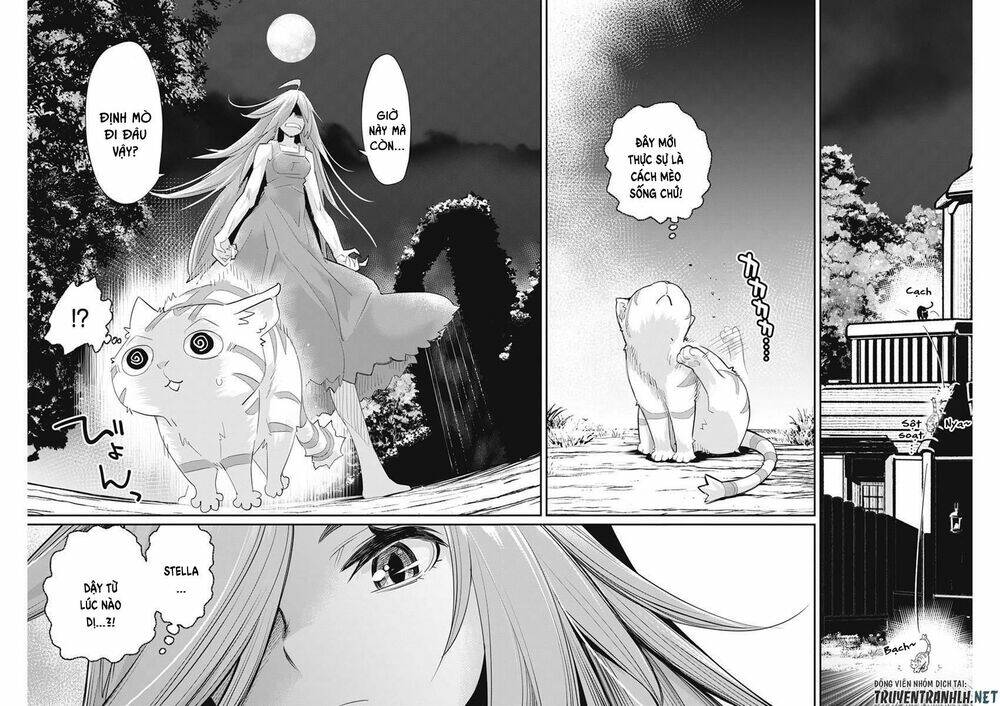 I Am Behemoth Of The S Rank Monster But I Am Mistaken As A Cat And I Live As A Pet Of Elf Girl Chương 38 Ảnh 25