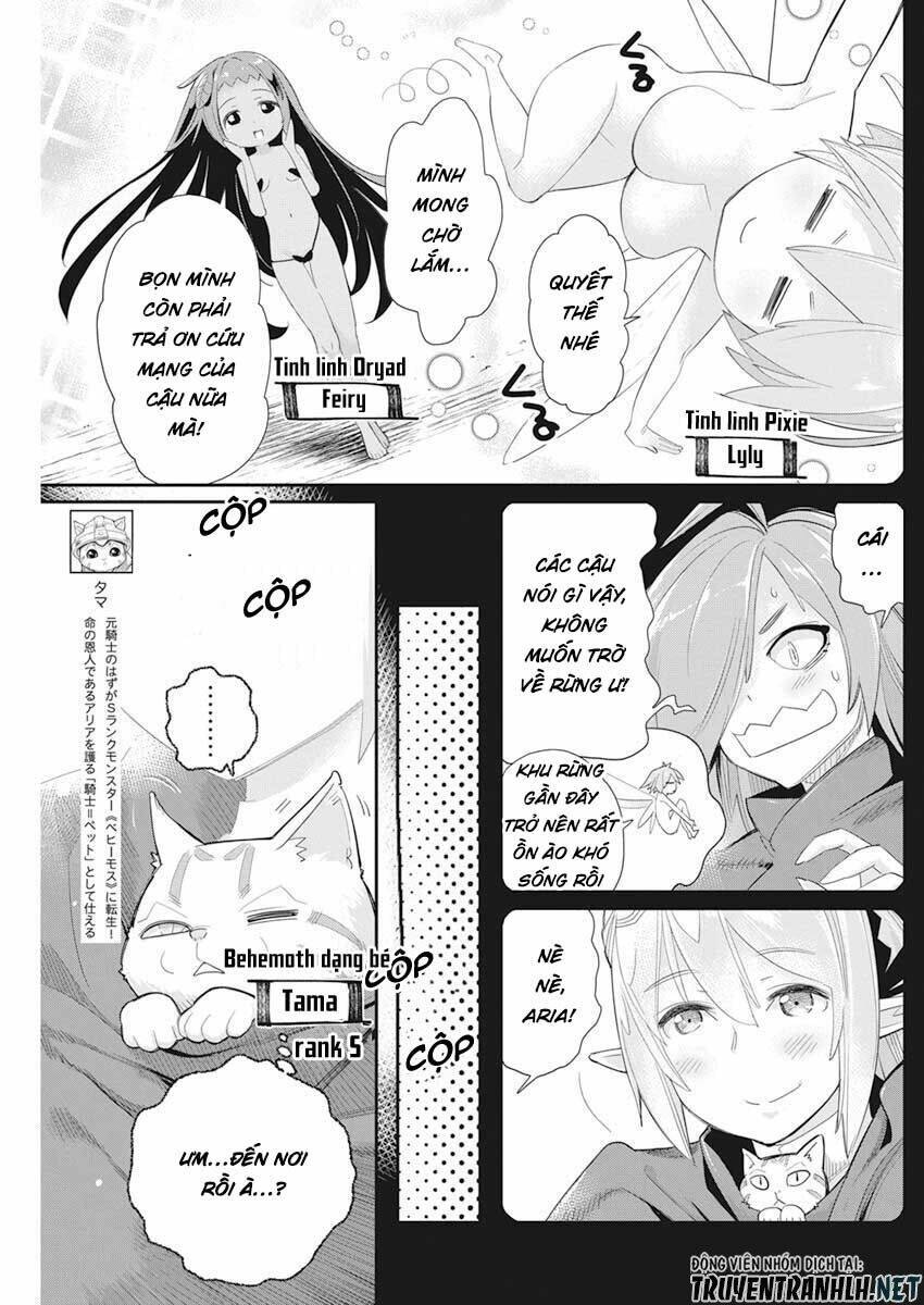 I Am Behemoth Of The S Rank Monster But I Am Mistaken As A Cat And I Live As A Pet Of Elf Girl Chương 37 Ảnh 5