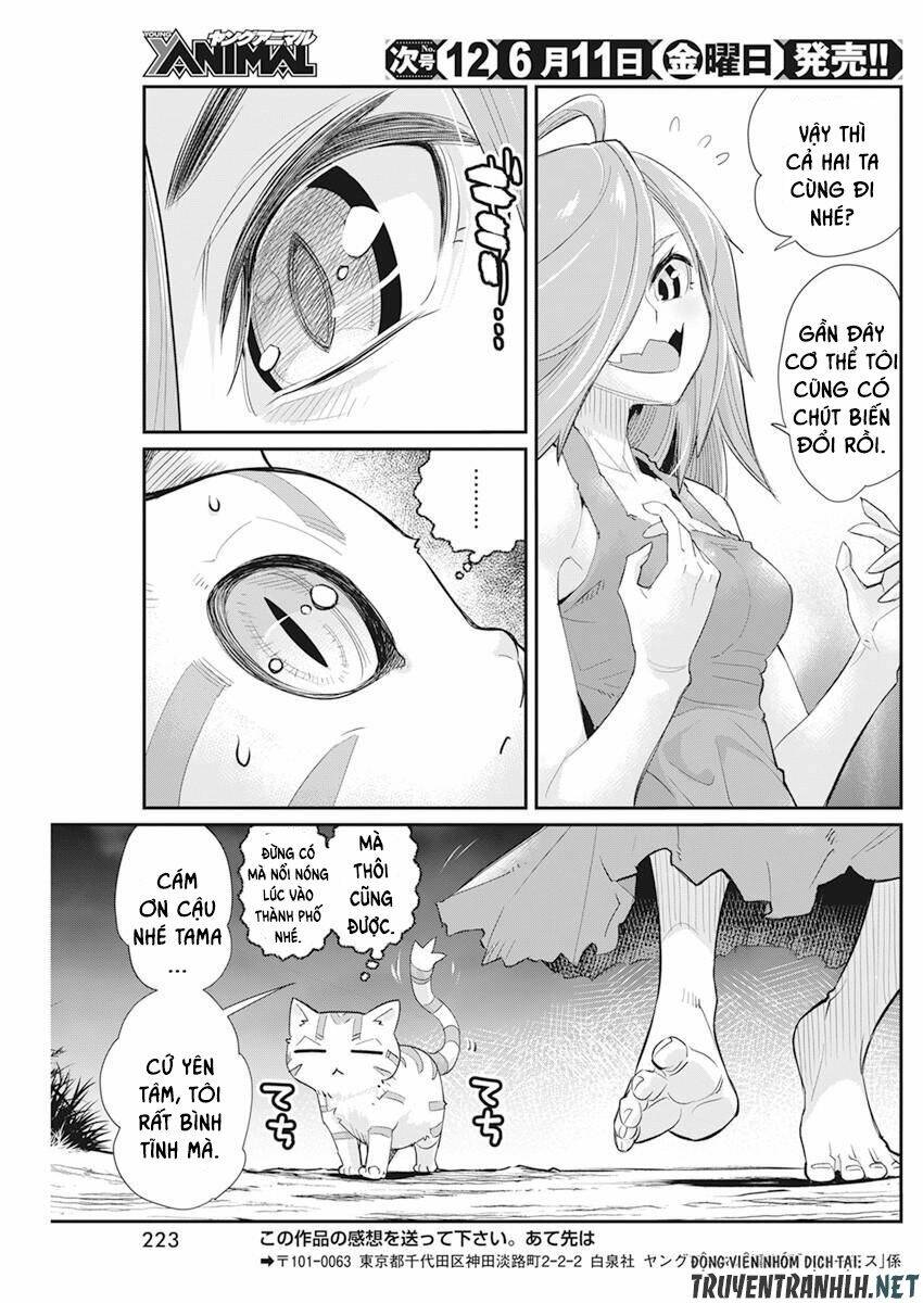 I Am Behemoth Of The S Rank Monster But I Am Mistaken As A Cat And I Live As A Pet Of Elf Girl Chương 38 Ảnh 28