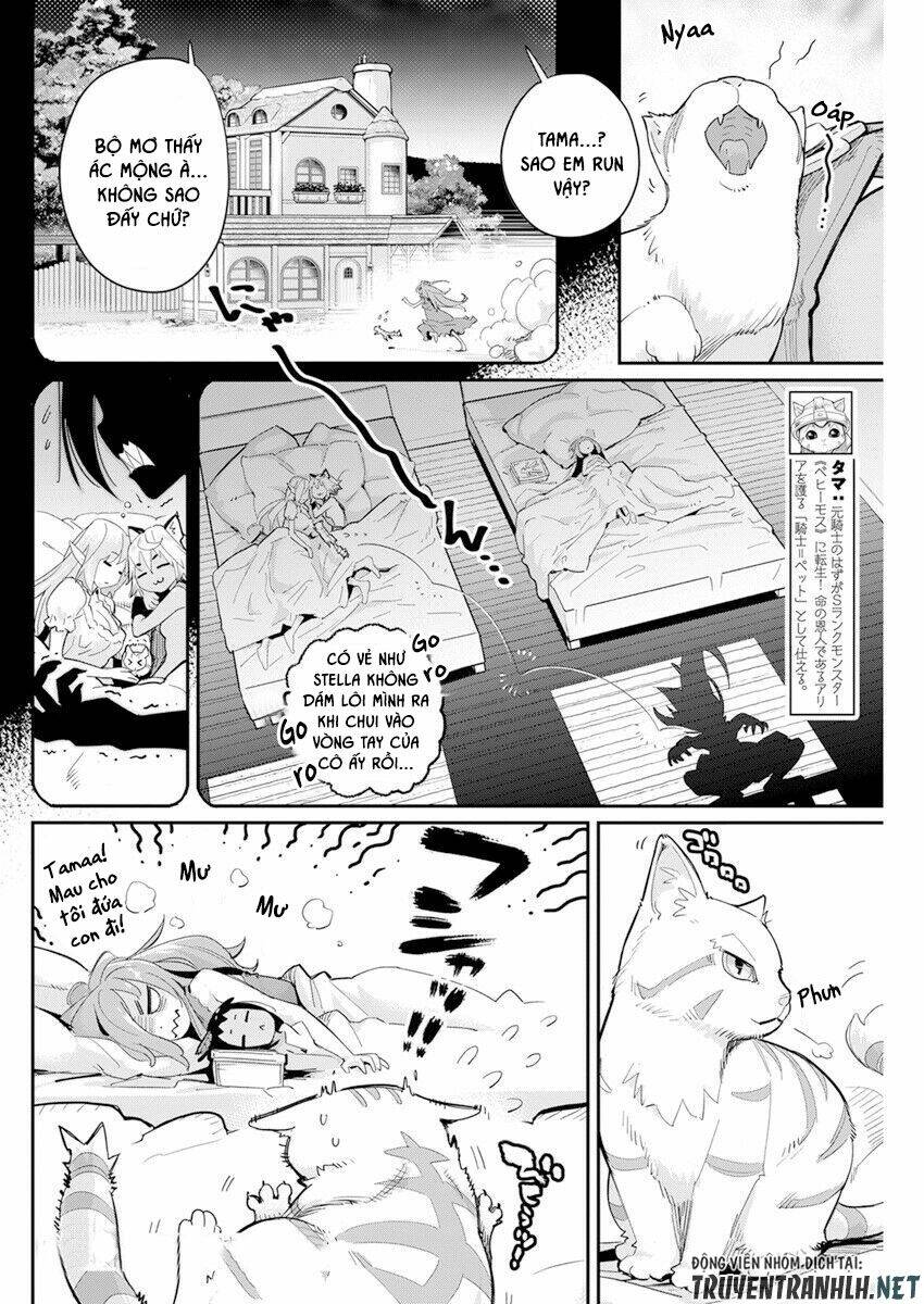 I Am Behemoth Of The S Rank Monster But I Am Mistaken As A Cat And I Live As A Pet Of Elf Girl Chương 40 Ảnh 5