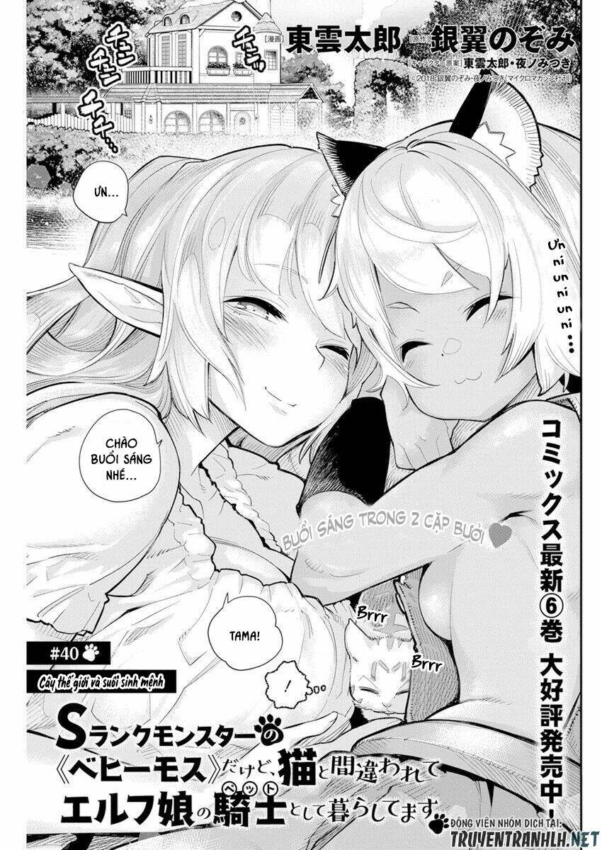 I Am Behemoth Of The S Rank Monster But I Am Mistaken As A Cat And I Live As A Pet Of Elf Girl Chương 40 Ảnh 4