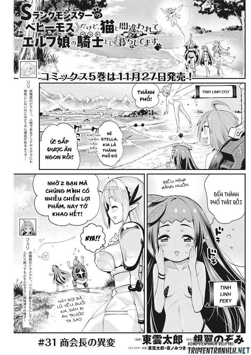 I Am Behemoth Of The S Rank Monster But I Am Mistaken As A Cat And I Live As A Pet Of Elf Girl Chương 31 Ảnh 4