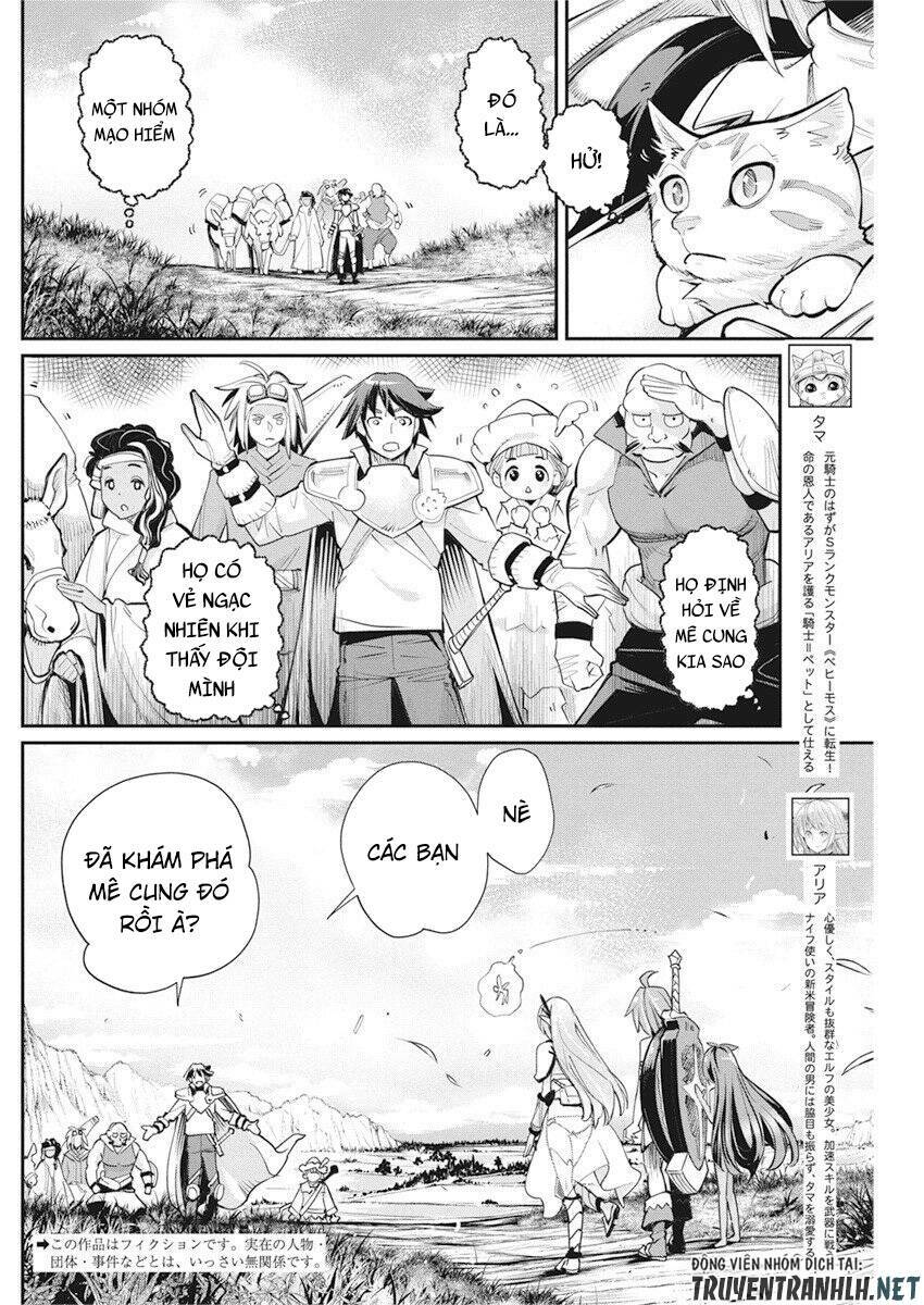 I Am Behemoth Of The S Rank Monster But I Am Mistaken As A Cat And I Live As A Pet Of Elf Girl Chương 31 Ảnh 5