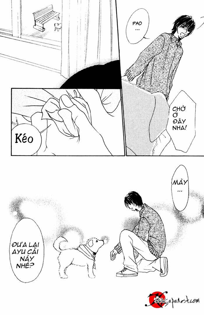 Deep Love - Ayu Monogatari Chương 8 Ảnh 18
