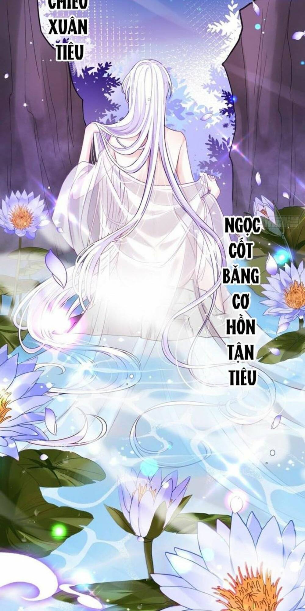 Hậu Cung Ba Ngàn Của Nãi Nãi Chương 1 Ảnh 5