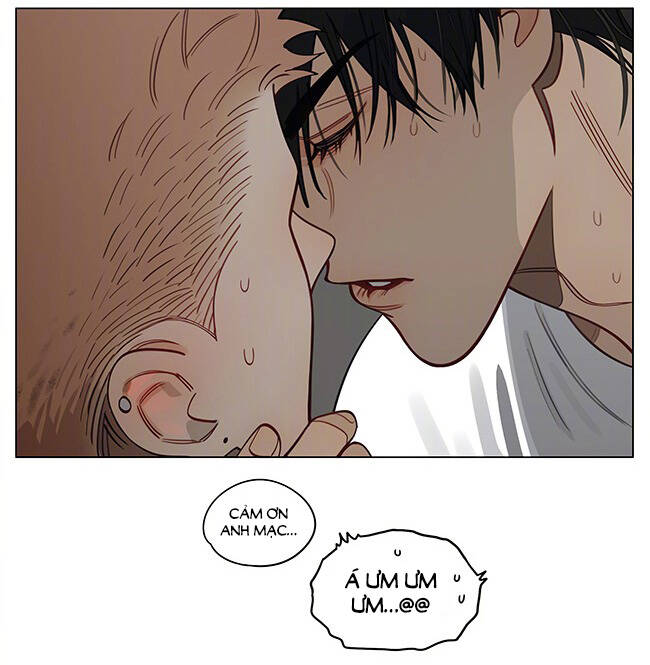 19 Days Chương 551 Ảnh 14
