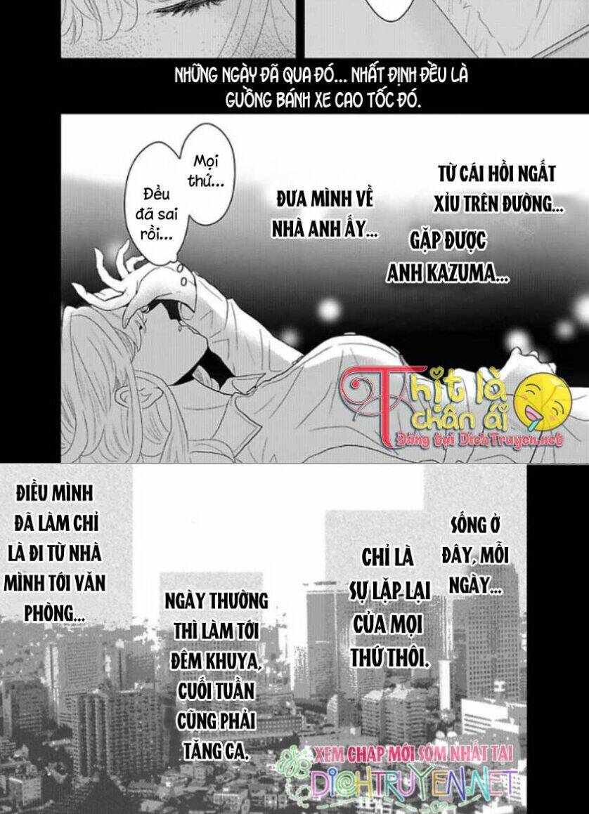 Bị Giam Cầm Bởi Chàng Trai Dịu Dàng Chương 9 Ảnh 23