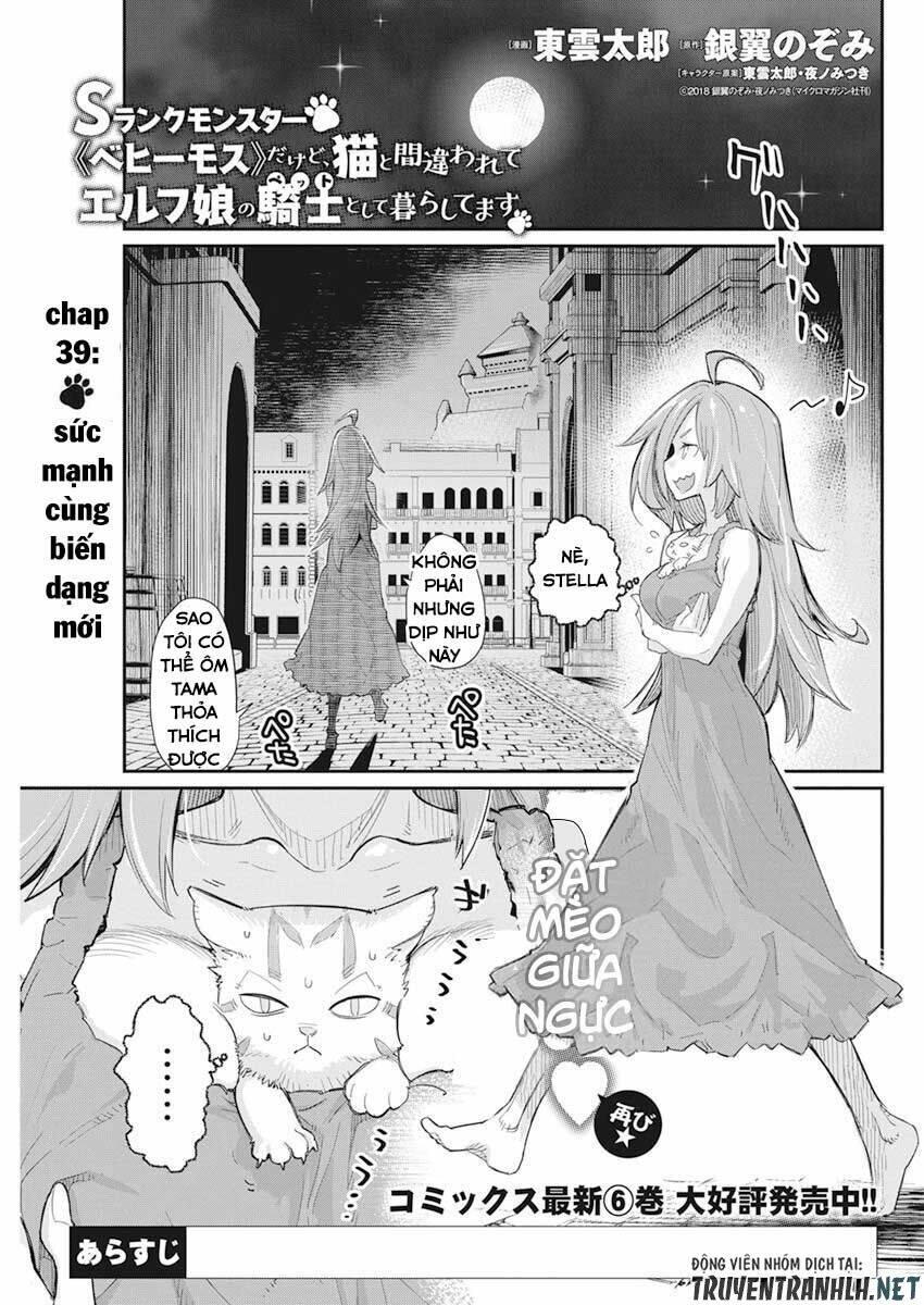 I Am Behemoth Of The S Rank Monster But I Am Mistaken As A Cat And I Live As A Pet Of Elf Girl Chương 39 Ảnh 4