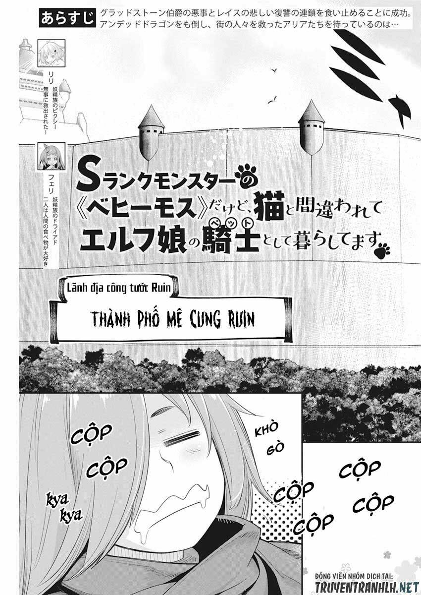 I Am Behemoth Of The S Rank Monster But I Am Mistaken As A Cat And I Live As A Pet Of Elf Girl Chương 37 Ảnh 7