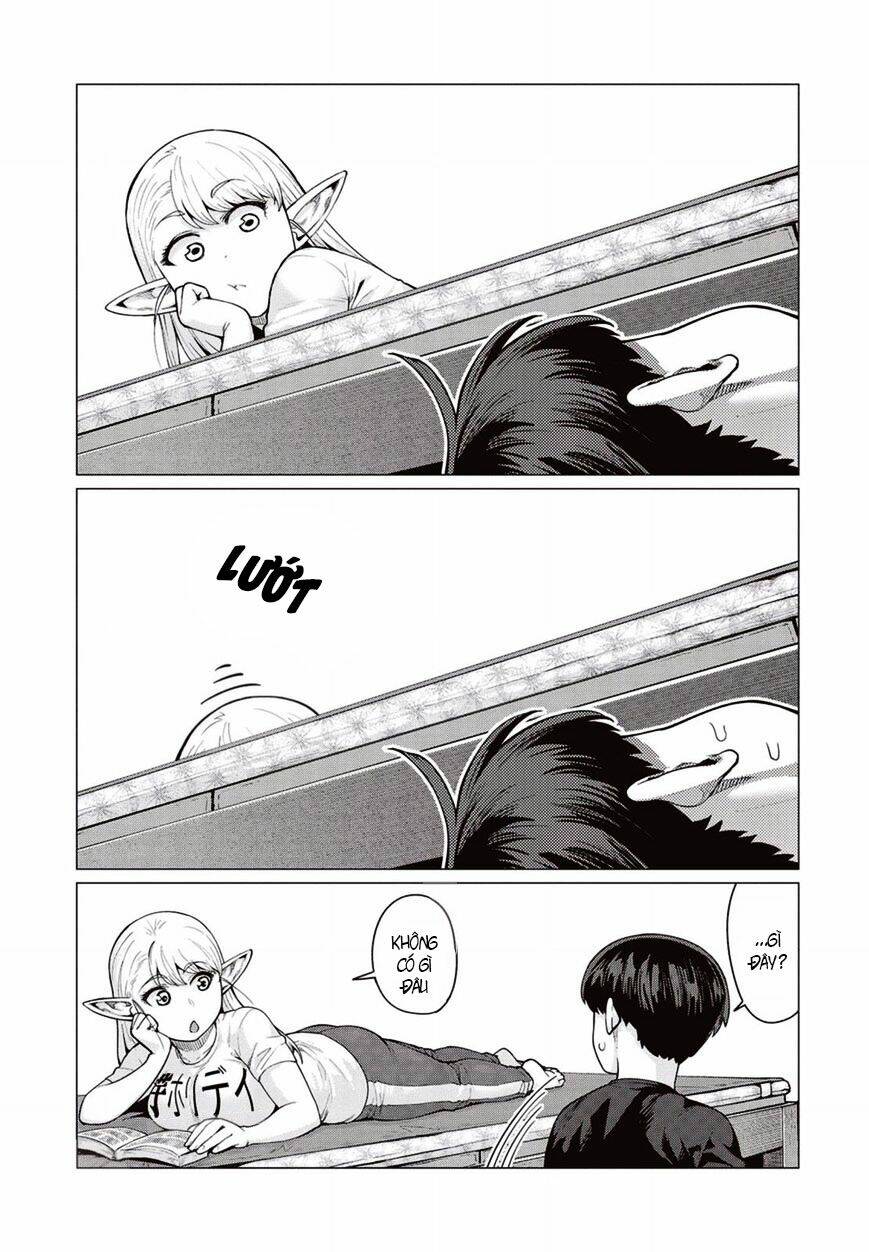 Elf-San Wa Yaserarenai Chương 11 Ảnh 5